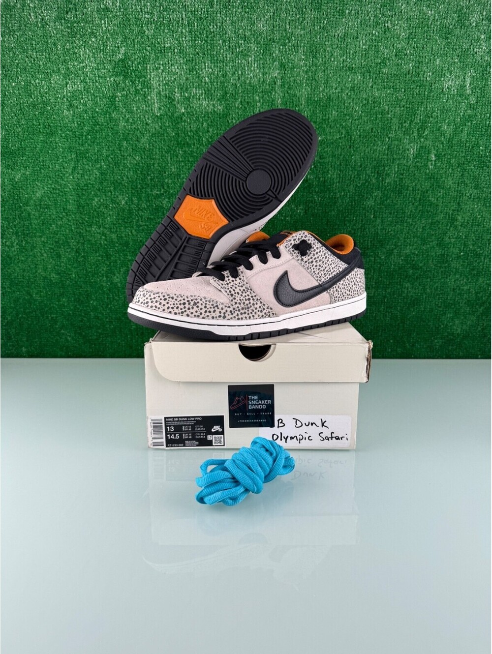 Size 13 - Nike Dunk Pro SB Low Electric Pack CLEAN!